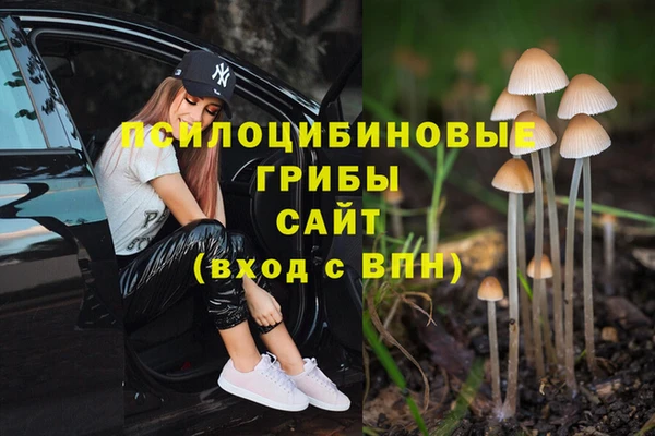прущие крисы Армянск