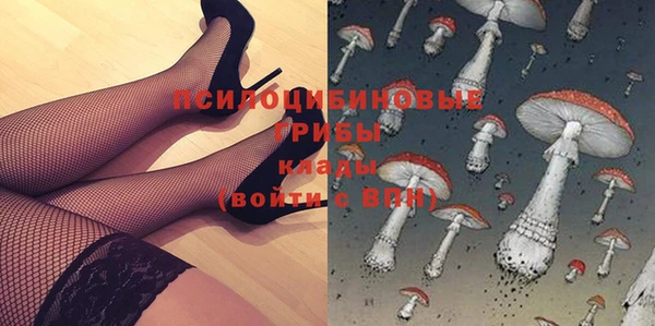 2c-b Алзамай