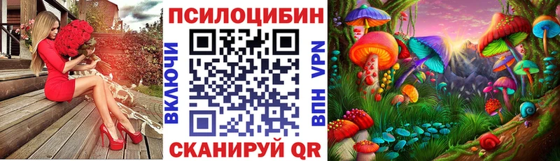 Псилоцибиновые грибы мицелий  Купить  Карабулак 