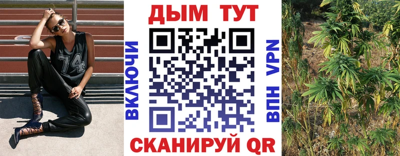 Купить где  Карабулак  Шишки марихуана конопля 